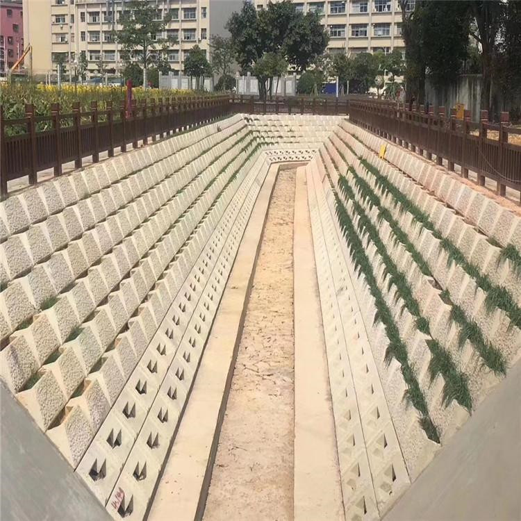 温州 阶梯式护坡模具 阶梯式生态护坡模具 生态阶梯护坡模具 致宏 新款