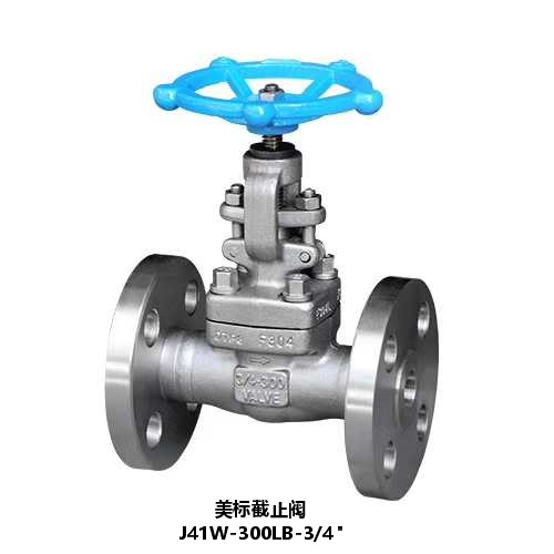 柱塞截止阀厂家批发 锻钢截止阀价格实惠 热销产品锻钢柱塞截止阀 好评不断