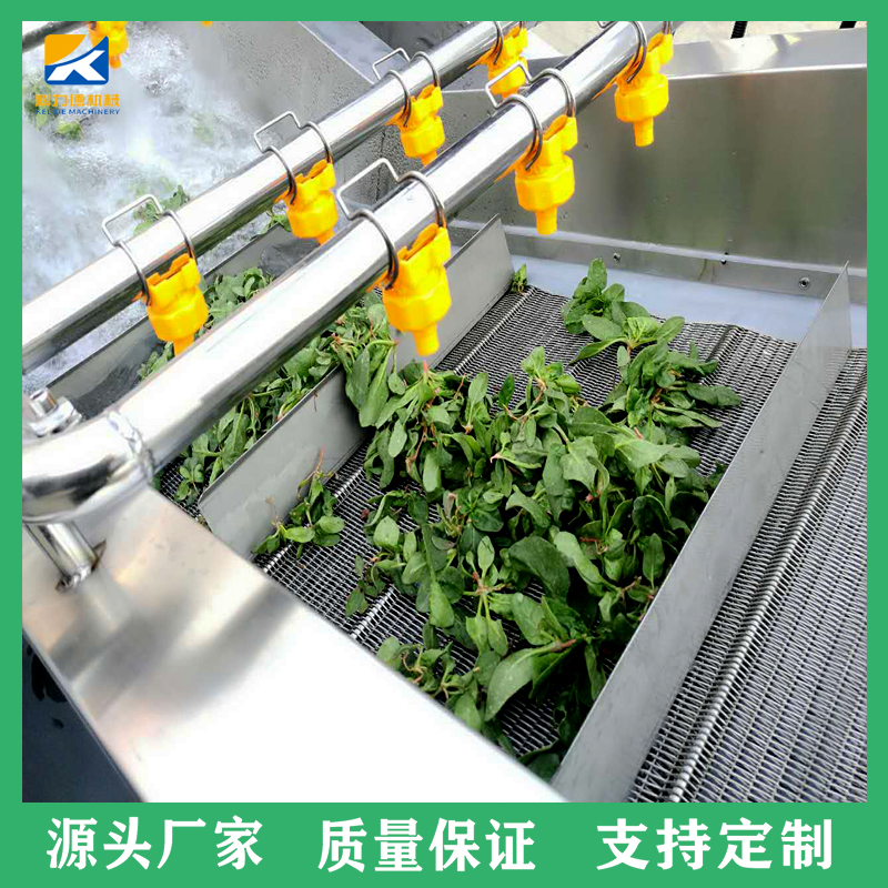 全自动鱼腥草气泡清洗加工设备 中草药气泡清洗机 多功能蔬菜气泡清洗机厂家