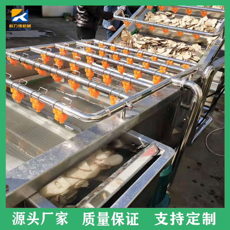 中草药类高压喷淋清洗设备 全自动喷淋式辣椒气泡清洗机 可加工定做