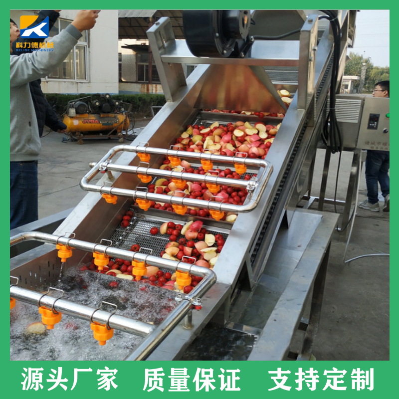 科力德供应大姜鲜姜清洗机 洗姜机 海牙菜浸泡清洗脱盐设备 菌菇类气泡清洗机