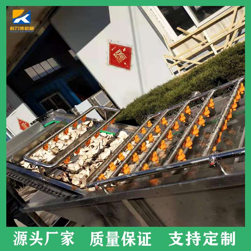 全自动海产品气泡清洗机 高丽菜翻浪清洗机 榆钱子水浴式清洗机