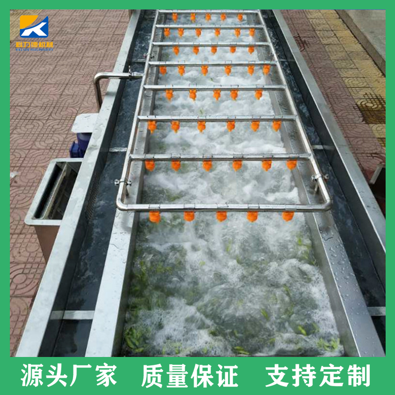 厂家直供果蔬翻浪式清洗机 中药材喷淋清洗机 水产品气泡清洗机