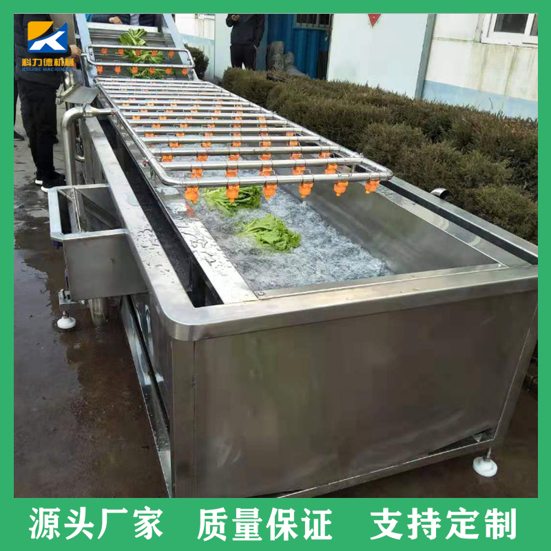 酱腌菜喷淋清洗机 菌菇类气泡清洗风干线 大白菜蔬菜类洗菜机 厂家直供