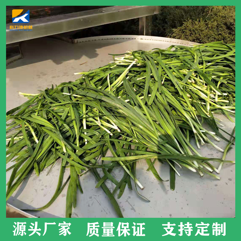 山野菜去农残气泡清洗机 连续式洗酱菜机器 高丽菜翻浪清洗机