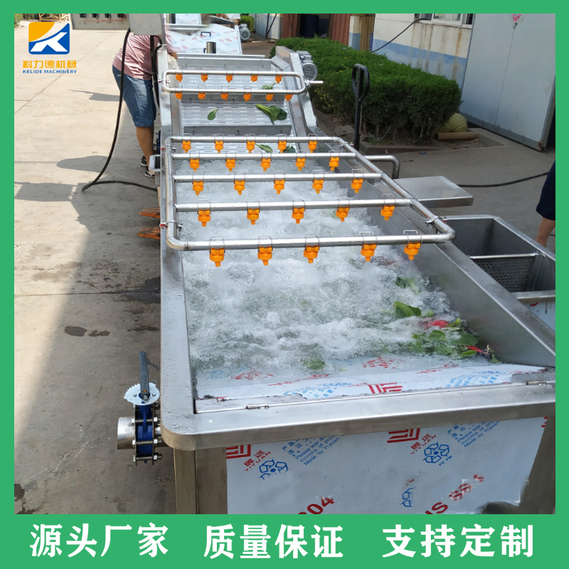 海鲜气泡清洗机 工业用瓜果蔬菜净菜清洗风干线 大姜大枣清洗设备