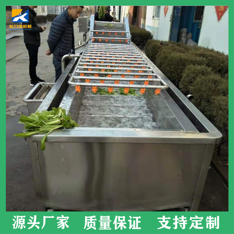 银耳浸泡气泡清洗机 木耳羊肚菌果蔬不锈钢清洗设备 净菜清洗机洗菜机