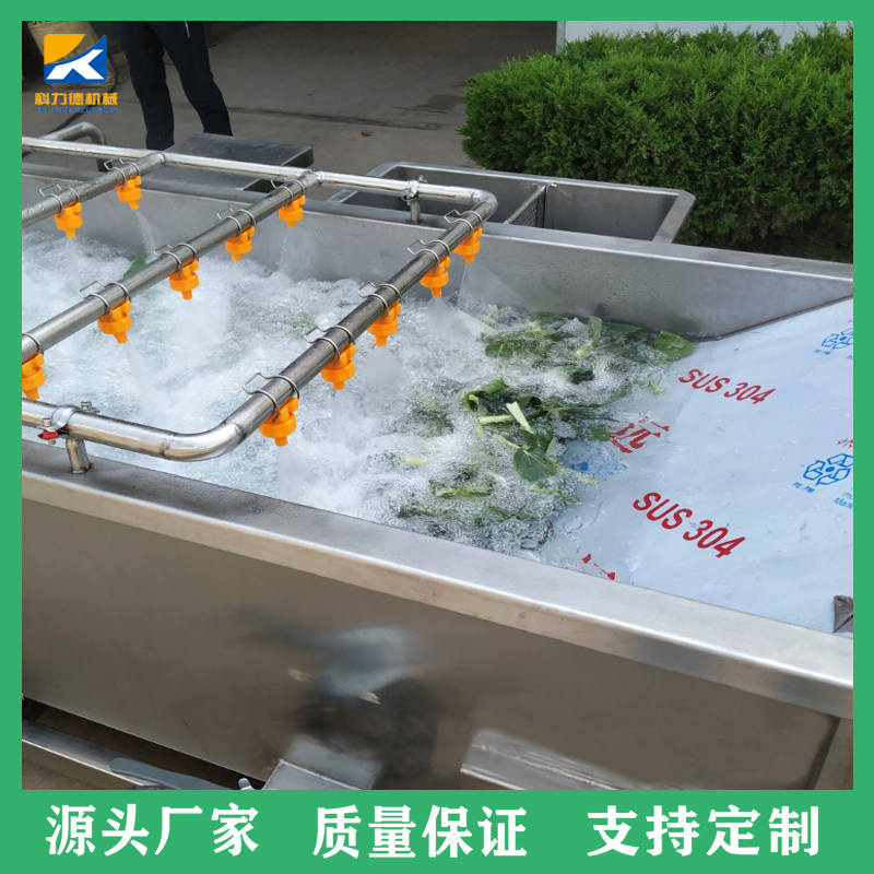 多功能酱腌菜清洗机 青毛豆菌菇类喷淋清洗机 小米辣喷淋翻浪清洗设备