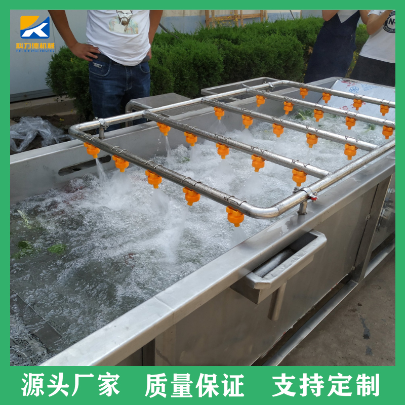 金盏桔全自动气泡清洗机 菌菇类果蔬气泡清洗风干线 大白菜蔬菜杀青线