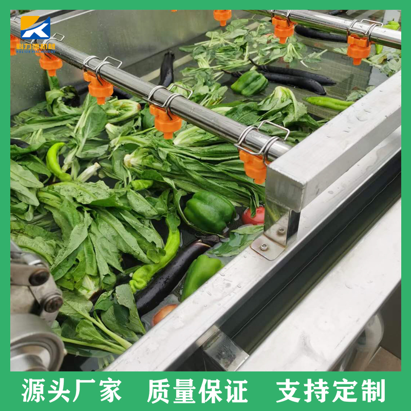 果蔬清洗机 高压水喷淋清洗机 小米椒气泡清洗设备 大型不锈钢洗菜机厂家