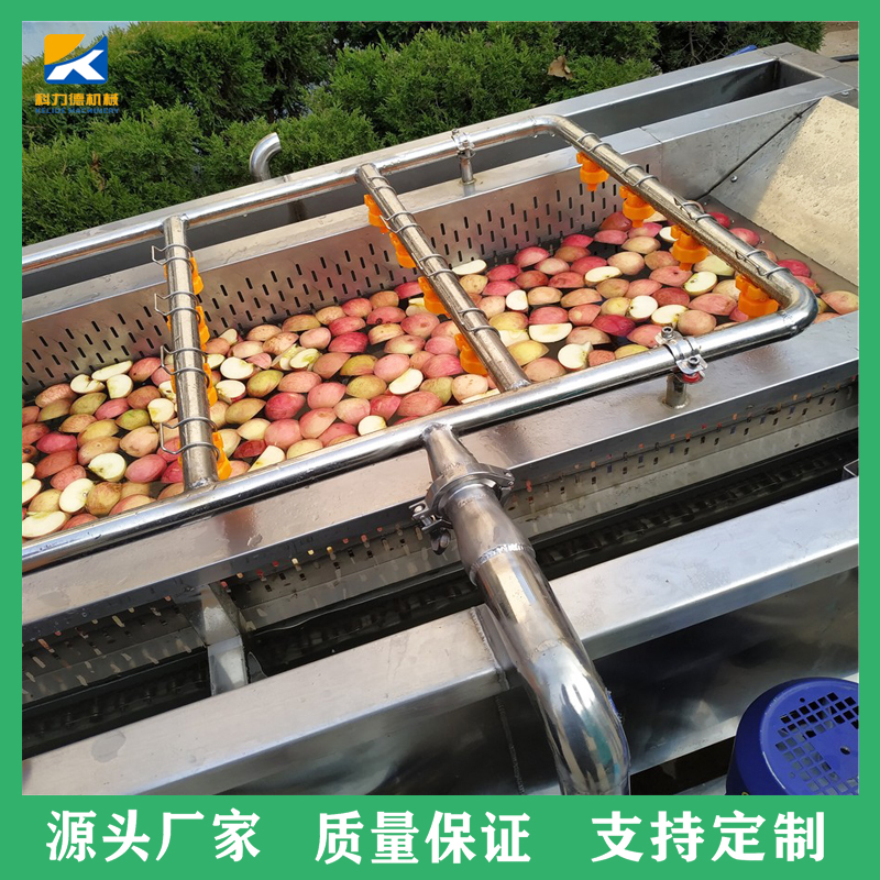 生菜茄子多功能蔬菜气泡清洗机输送机 全自动气泡式洗菜机 净菜加工流水线
