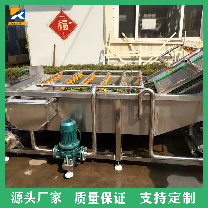 全自动玉米清洗设备 榆钱子水浴式清洗机 蔬菜深加工设备 科力德厂家