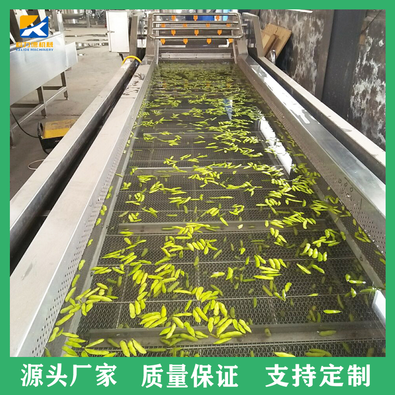 果蔬类气泡清洗机 黄瓜条榨菜丝涡流臭氧清洗机 药材净菜流水线