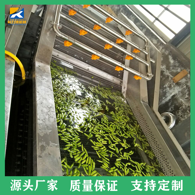 大型多功能气泡式果蔬清洗机 全自动翻浪式菠菜清洗机 脱水蔬菜深加工设备