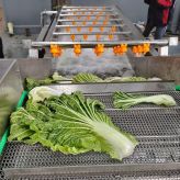 商用蔬菜清洗流水线 餐厅洗菜机 小龙虾气泡清洗机 可定制