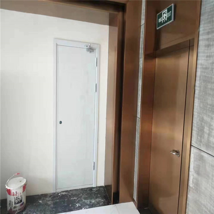 防火门 钢质防火门 甲级乙级工程防火门 钢制门 