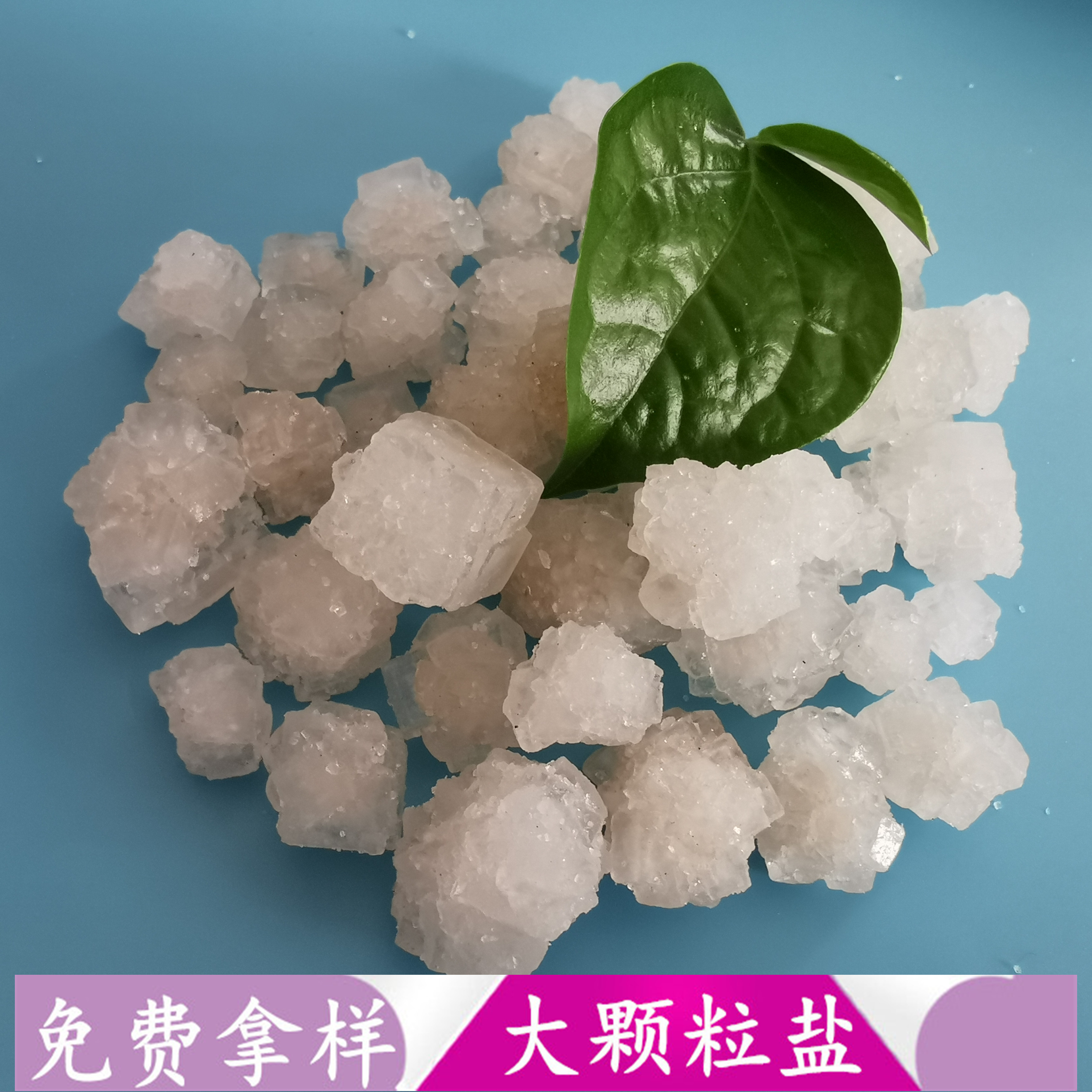 鼎昊现货大颗粒盐 热敷用工业级大颗粒盐 日晒原盐大颗粒盐批发