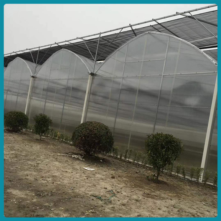 金农_连栋薄膜温室 种植大棚 连栋温室造价