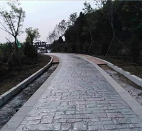 常州 压模印花地坪 压花路面厂家 水泥混凝土材料 艺术路面制作 普林德建材