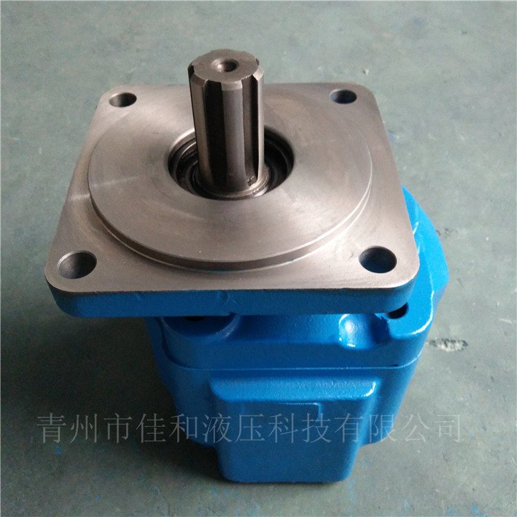 柳工装载机液压泵供应 11C0009-青州佳和液压