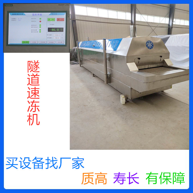 量大优惠 中科金穗 商用隧道速冻机 鲅鱼速冻机 海鲜液氮速冻设备供应商