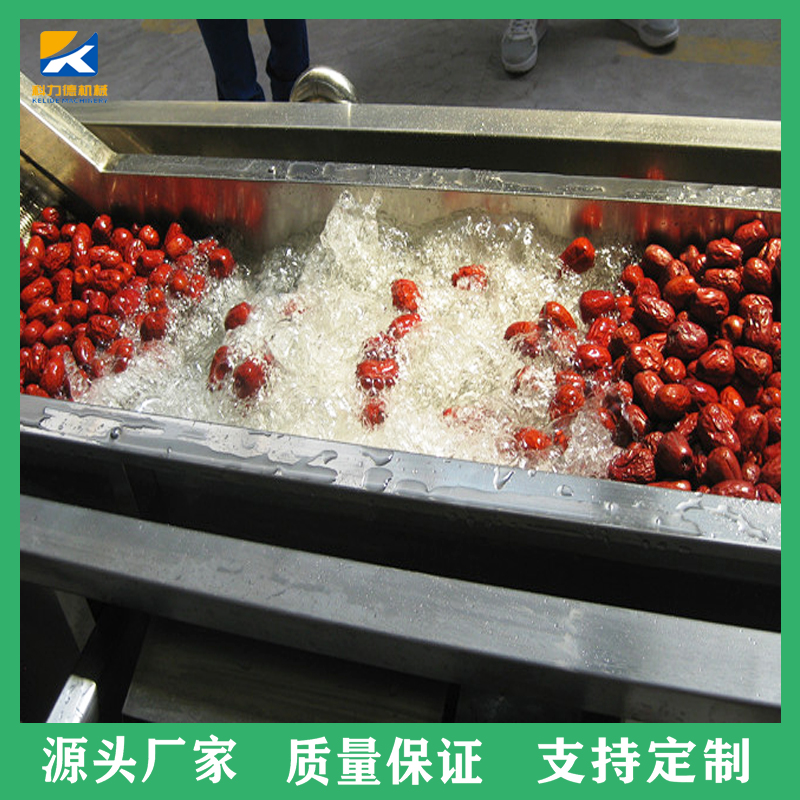 高压果蔬清洗机去杂气泡清洗机 蔬菜番茄冲浪清洗机风干线厂家