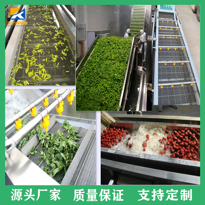 食堂用臭氧杀菌果蔬清洗机 气泡喷淋洗菜机 净菜加工设备蔬菜漂烫线