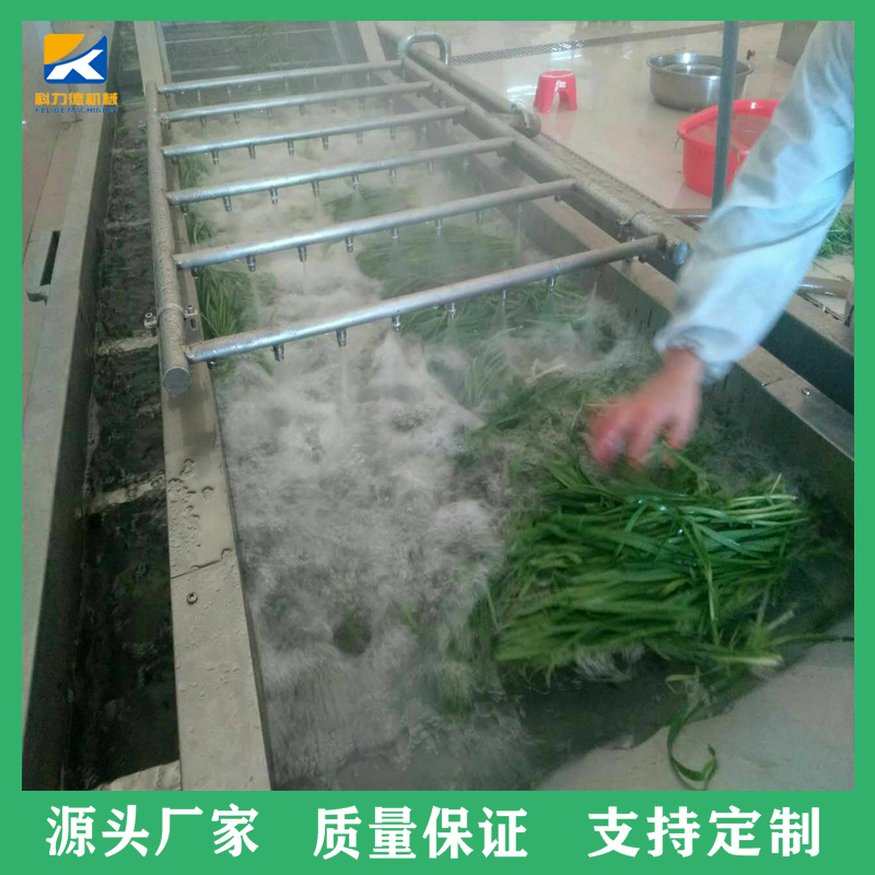 洋葱辣椒喷淋式清洗机 橙子气泡清洗设备 蔬菜去泥去残留冲浪式清洗机