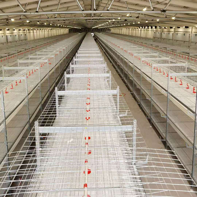晟迈鸡笼框架 框架式蛋鸡笼肉鸡笼