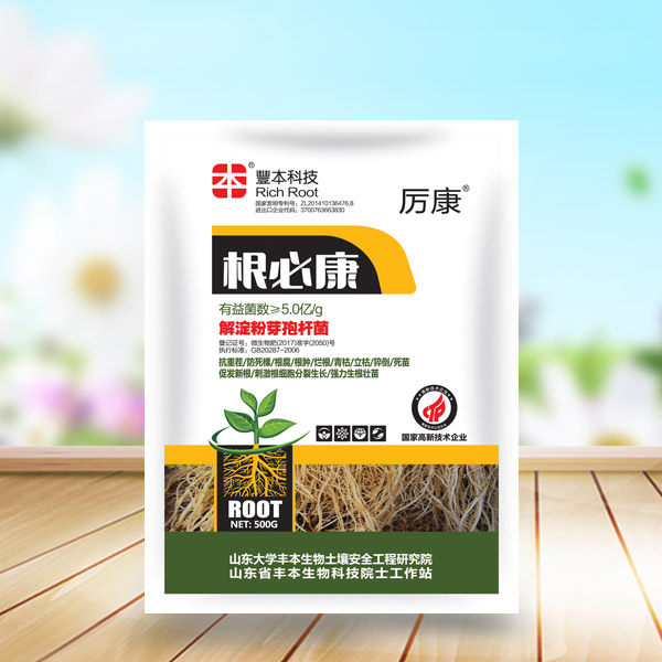 500g根必康 丰本根必康价格