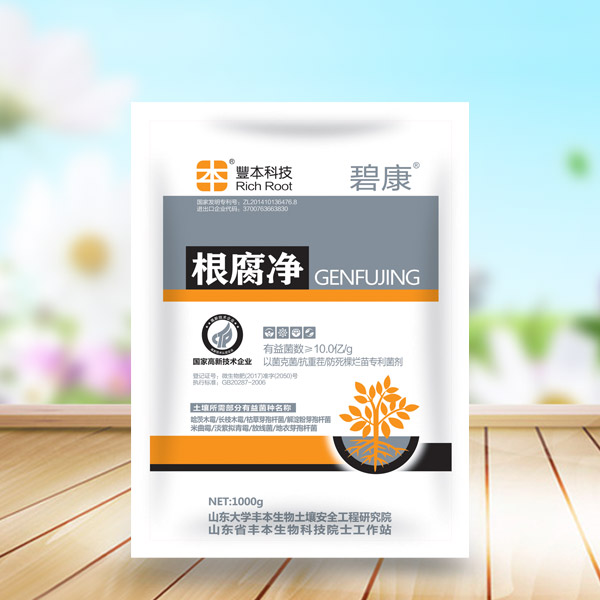 根腐净 丰本批售袋装根腐净 1000g/袋