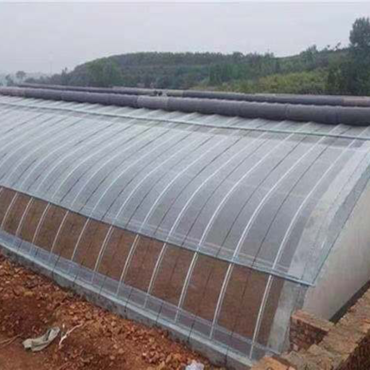 日光大棚  种植大棚  日光大棚价格