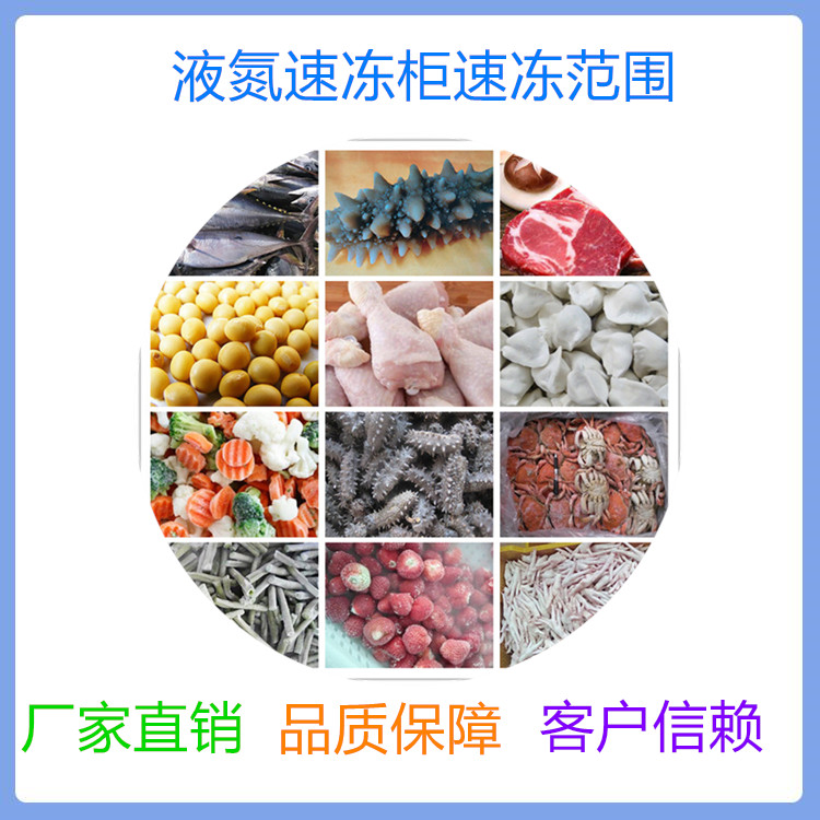 液氮速冻柜厂家 中科金穗液氮速冻机价格 现货出售液氮速冻设备