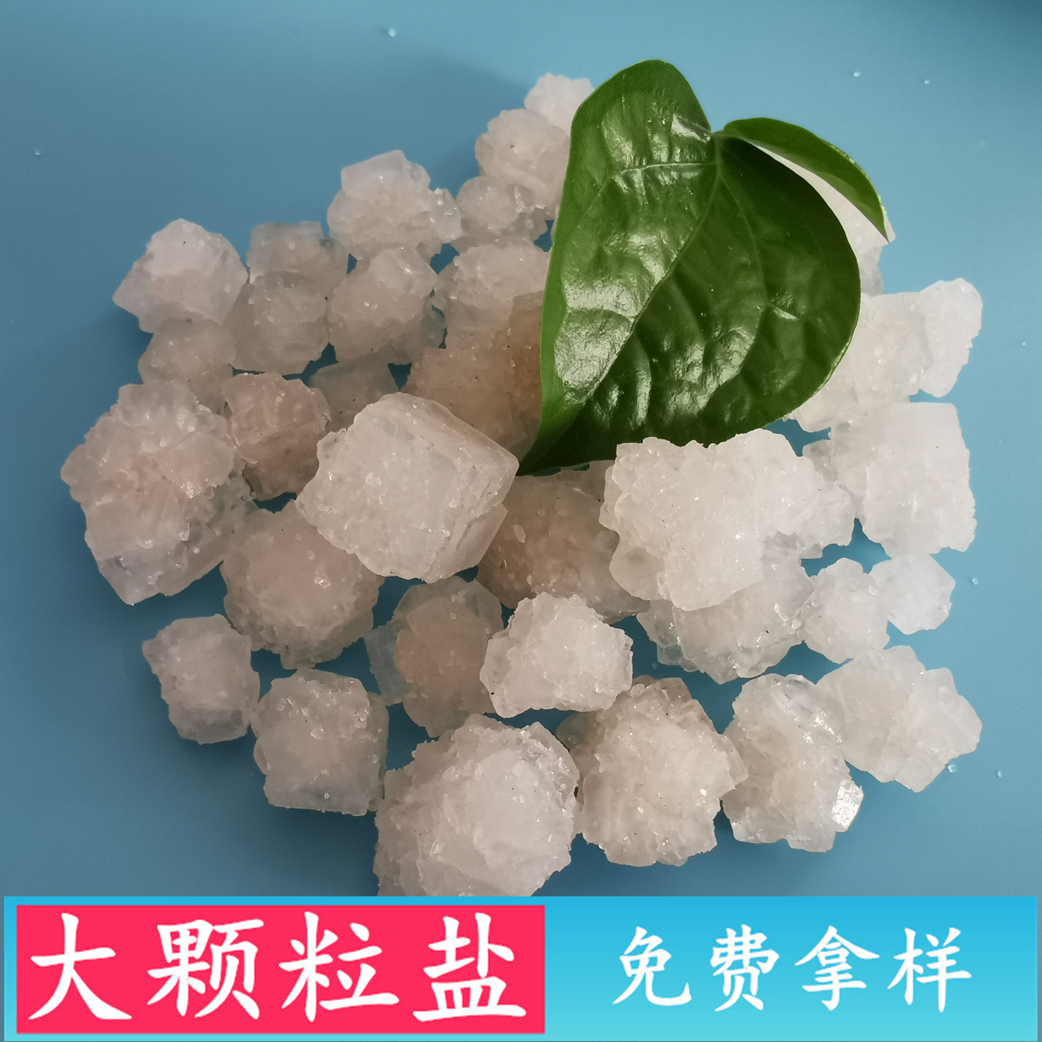 日晒原盐大颗粒盐 工业级大颗粒盐批发厂家 热敷锅炉水处理用大颗粒工业盐