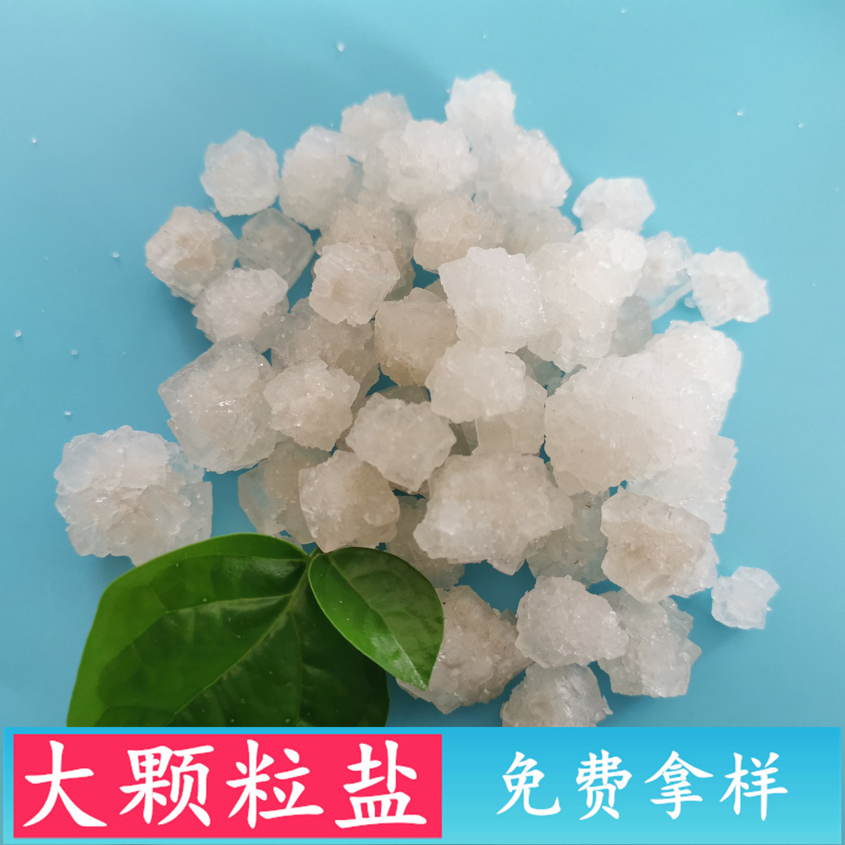 大颗粒盐 日晒原盐大颗粒工业盐 热敷锅炉水处理用大颗粒盐