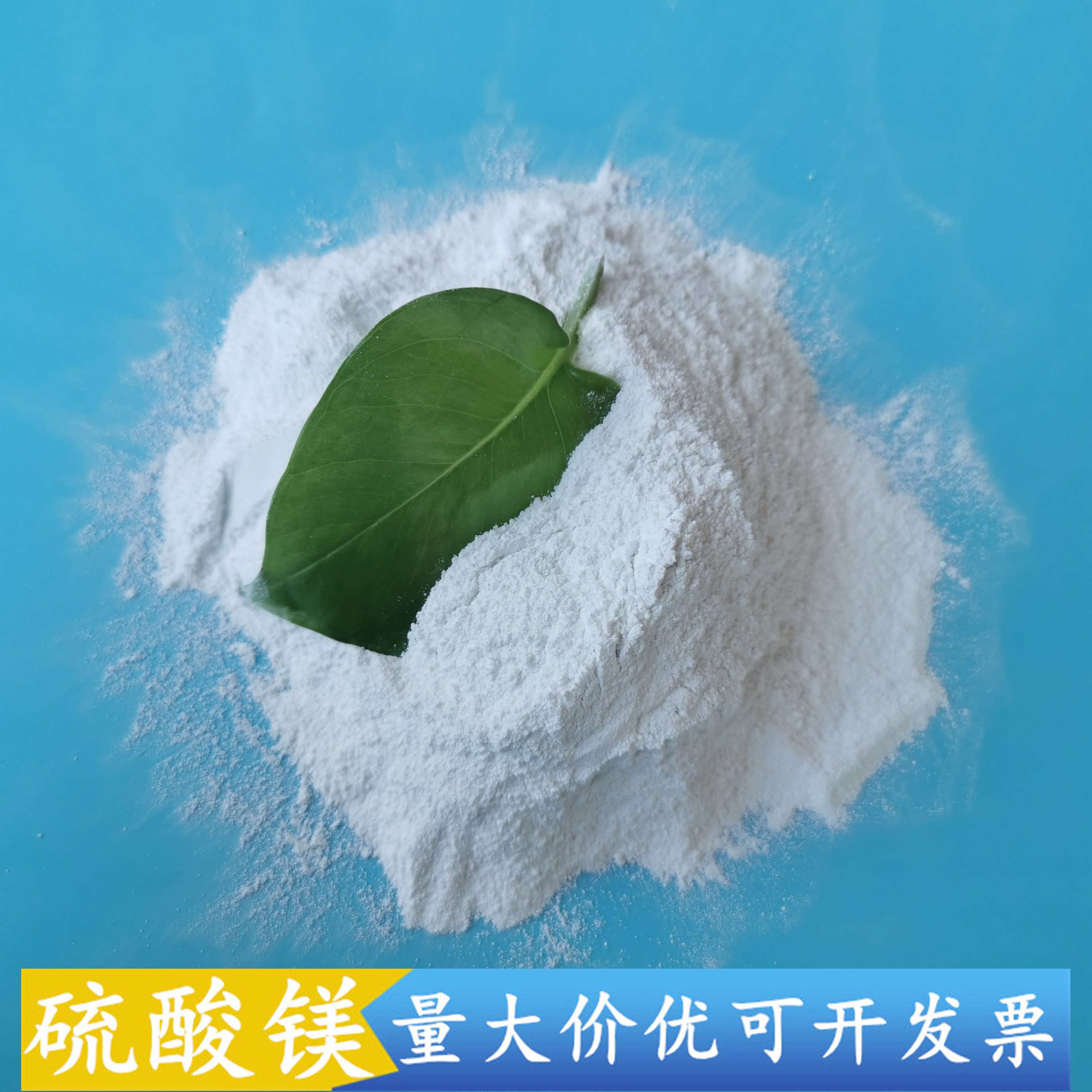 一水硫酸镁粉末 肥料用工业级一水硫酸镁 鼎昊现货工业级硫酸镁