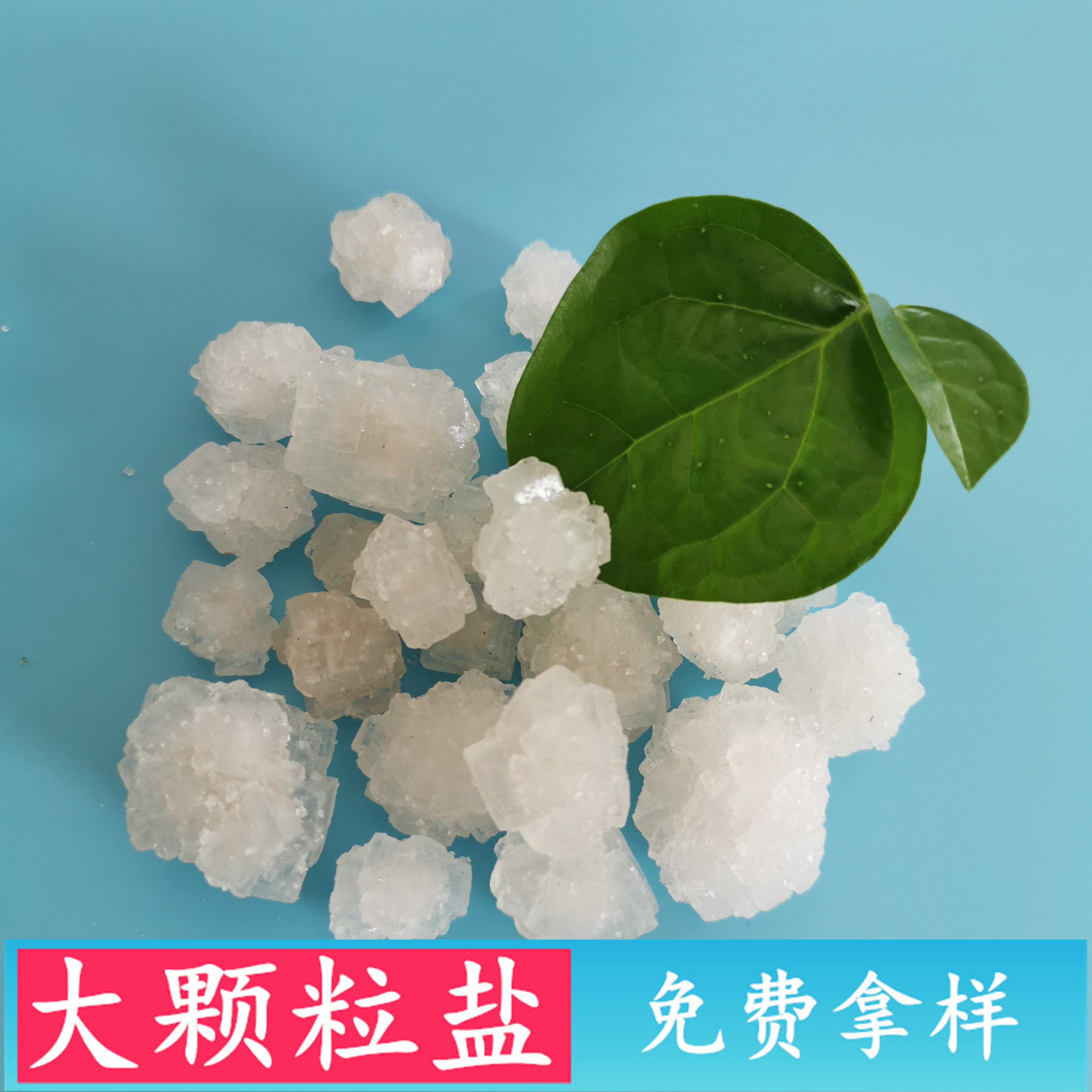 大颗粒工业盐 工业级锅炉水处理用大颗粒盐 日晒原盐大颗粒盐批发厂家