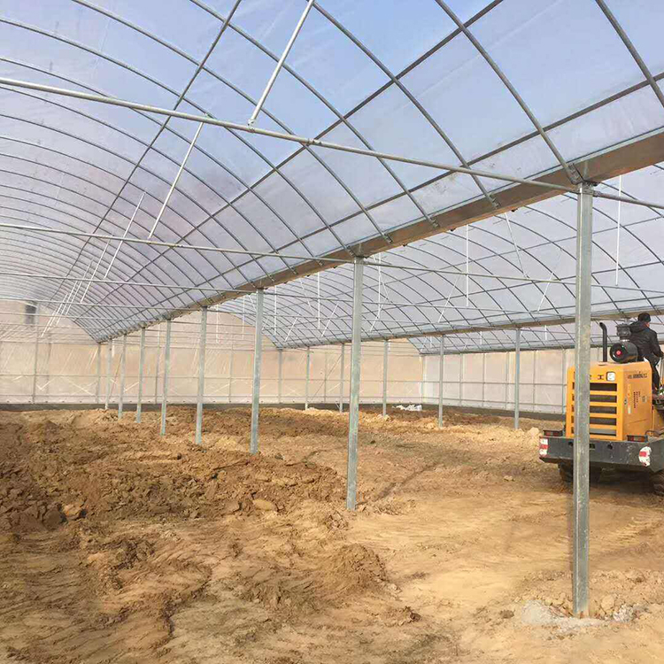薄膜温室大棚 山东薄膜温室大棚 薄膜温室大棚建设