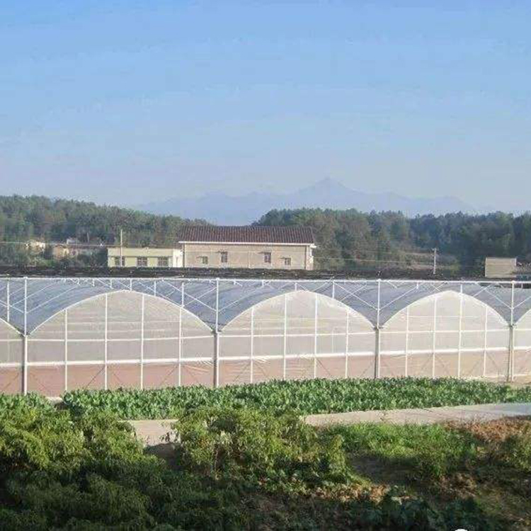 圆拱薄膜大棚 承接圆拱薄膜大棚 圆拱薄膜大棚厂家