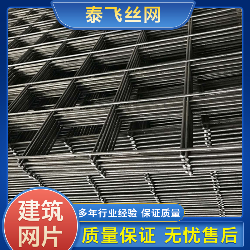 泰飞丝网 建筑网片 建筑网片批发