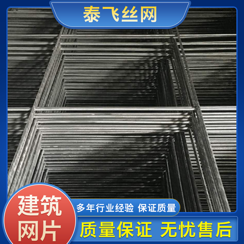 泰飞丝网 建筑网片 桥梁建筑网片 抹墙网批发