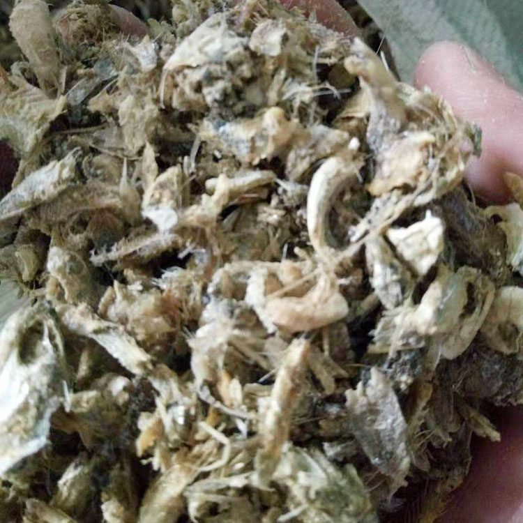 鱼干 饲料级鱼干 焜昊供应 饲料级脱脂鱼干 价格优惠