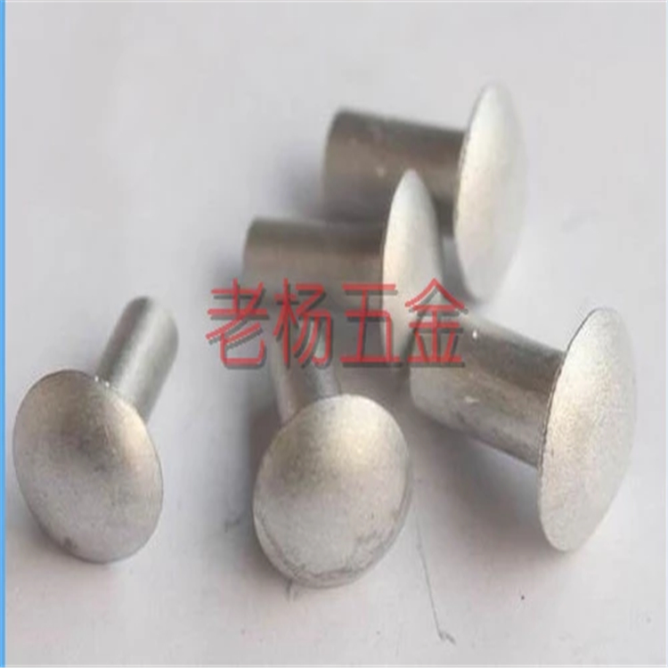  不锈钢包头铝铆钉订做   实心包头钉 