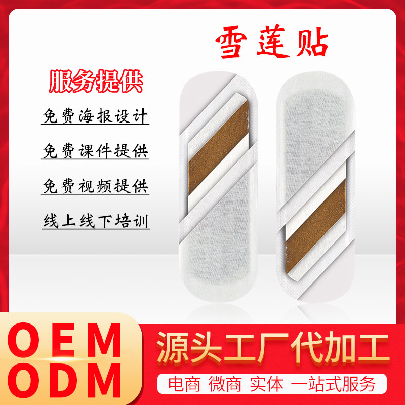 雪莲私密贴 私处清洁养护垫杀菌止痒去炎症中药排毒私护垫片OEM