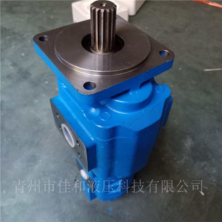 柳工856高配装载机双联泵供应 11C0191