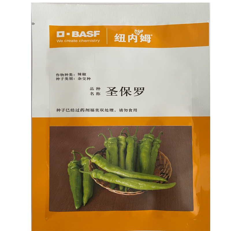 圣保罗辣椒种子 辣椒苗海泽拉辣椒种子厂家  山东辣椒育苗基地  