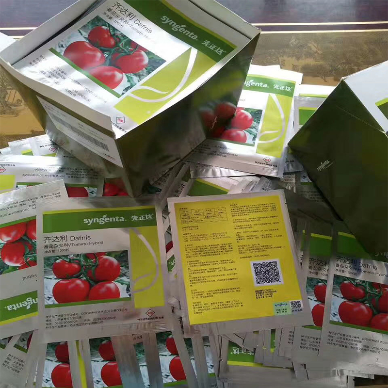 抗TY病毒西红柿种苗   齐达利西红柿种子 思贝德番茄种子 价格实惠