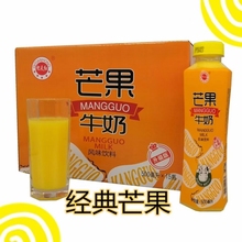 金登河芒果牛奶500ml厂家直发，质优价廉，口感纯正