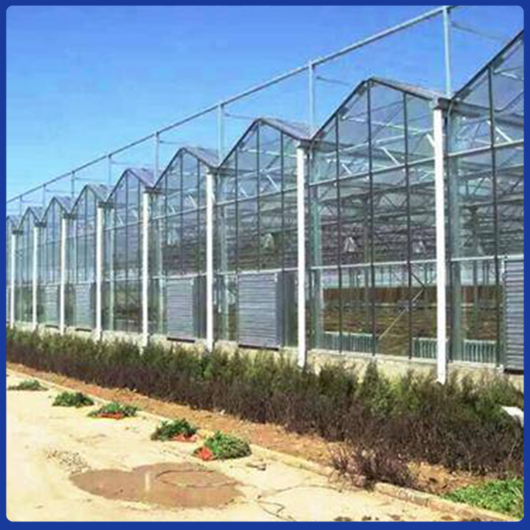 潍坊连栋温室大棚工程 搭建蔬菜连栋温室 草莓连栋温室