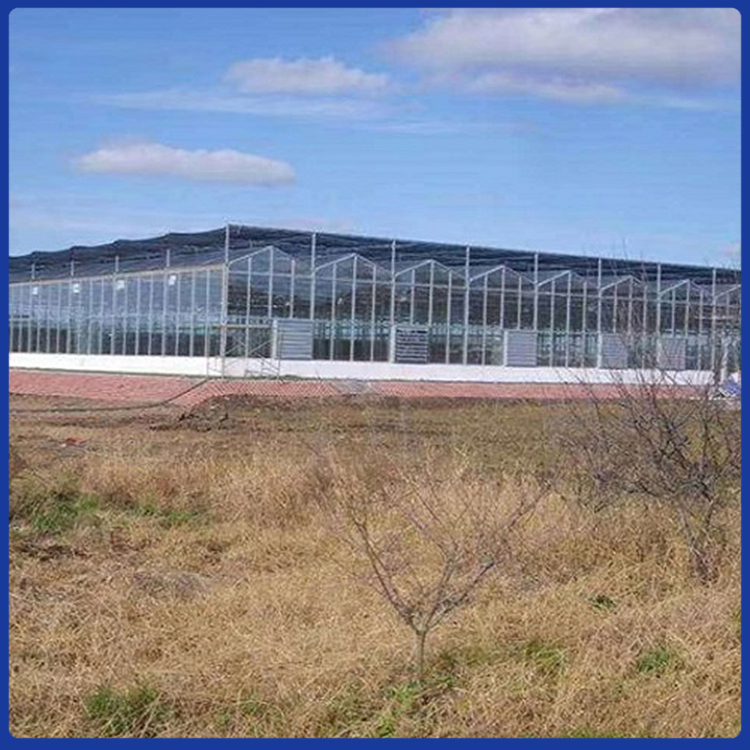 青州山东花卉日光温室大棚种植 薄膜日光温室大棚建设 节能日光温室大棚承建